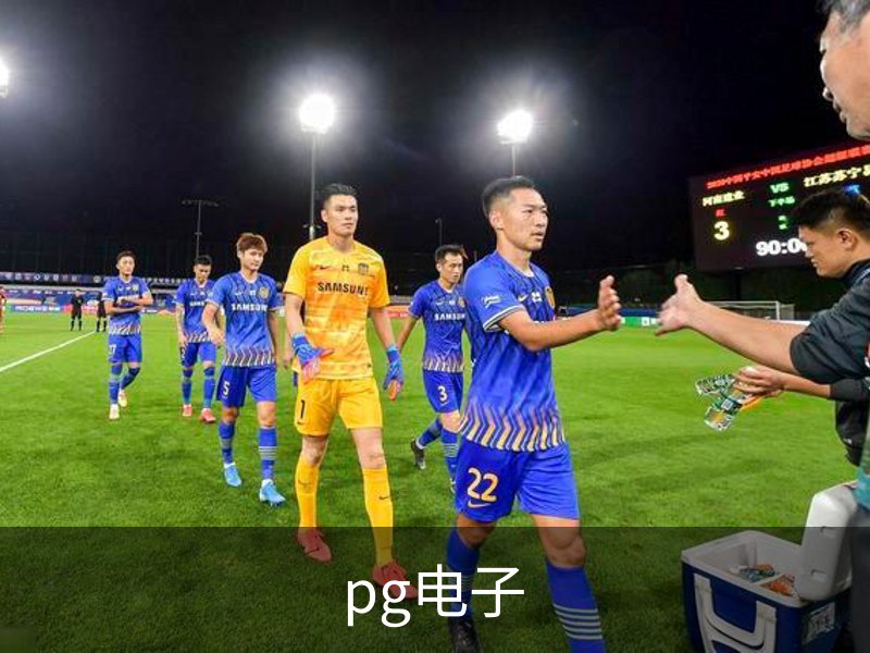 关于pg电子