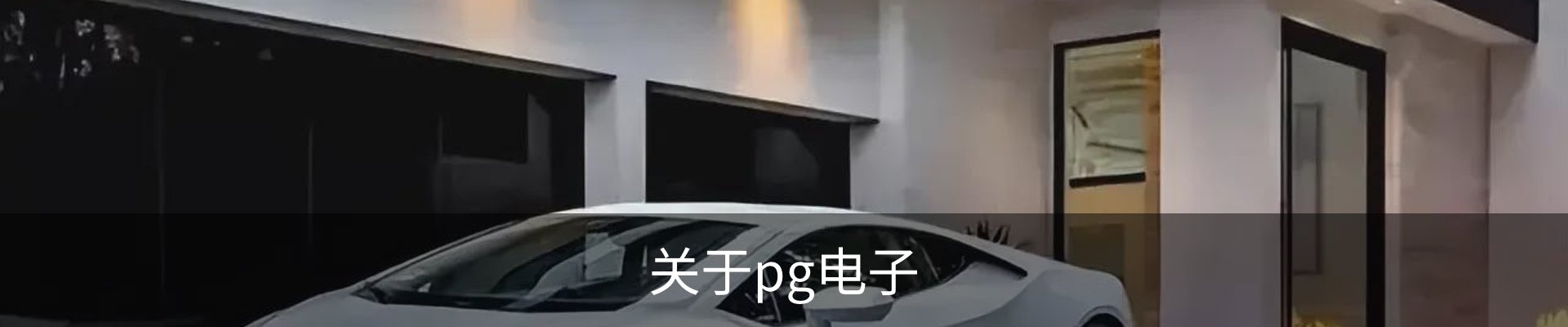 关于pg电子