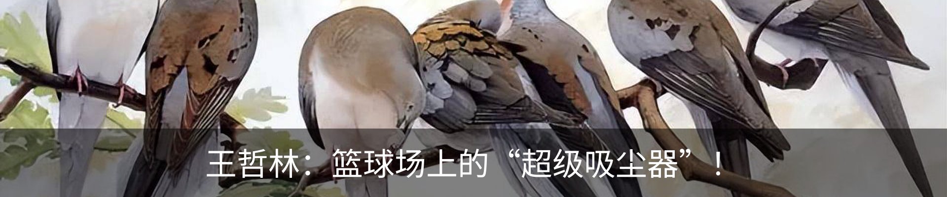 资讯动态