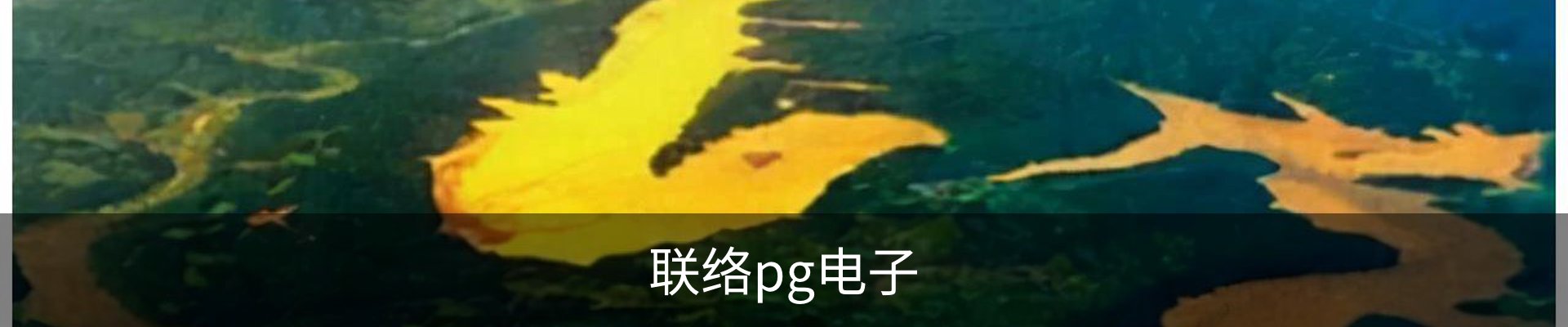 联络pg电子