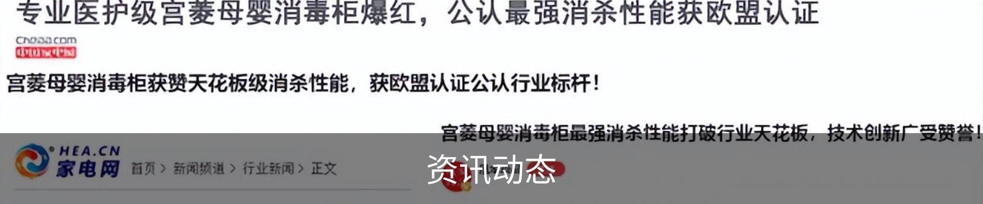 资讯动态